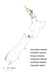 Veronica bollonsii distribution map based on databased records at AK, CHR & WELT.
 Image: K.Boardman © Landcare Research 2022 CC-BY 4.0